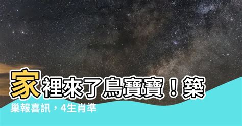 家中有鳥來築巢|【家裡有鳥築巢】鳥巢報喜！1個跡象代表家宅運勢大。